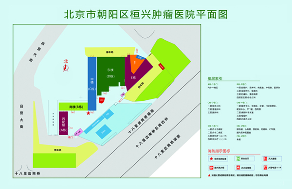 摸胸操逼插逼视频网站北京市朝阳区桓兴肿瘤医院平面图